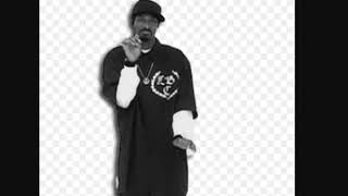 MLG Snoop Dogg Dancing To Rockstar