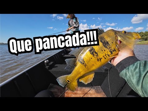 TUCUNARÉ GIGANTE no Lago de Itaipu! Que PANCADA Foi Essa?!