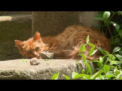 Schätze der Toskana: VALDONICA Weingut & Gästeresidenz
