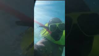 What to do in Aruba? #blacktraveler #traveltheworld  #travelgram  #travelvlog  #worldtravel #aruba