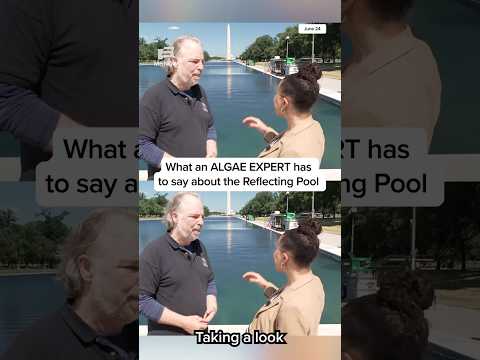 What an ALGAE EXPERT has to say about the Reflecting Pool