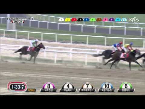 Jeju Governor's Cup - Jigeum I Sungan