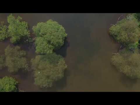 The Dub Syndicate :: Carp :: Drone :: April 2020