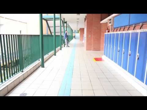 Graded Olympics Final