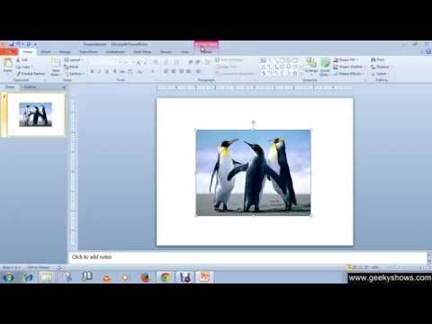 Microsoft PowerPoint 2010 Formatting Picture or Clip Arts
