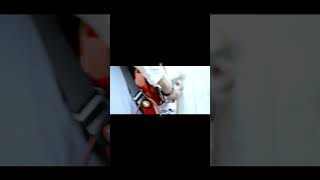 【#又三郎】【#ヨルシカ】【#shorts】【#永久機関】#又三郎 #ヨルシカ #幻燈 プロフよりYouTube fullへ飛べます！ #初音ミク #anime   #hatsunemiku