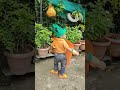My Little Carrot Cutie Pumpkin Orange Day Celebration