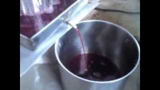 Wyciskanie zmielonych winogron - nie udane - pielucha nie przepuszcza miąszu.