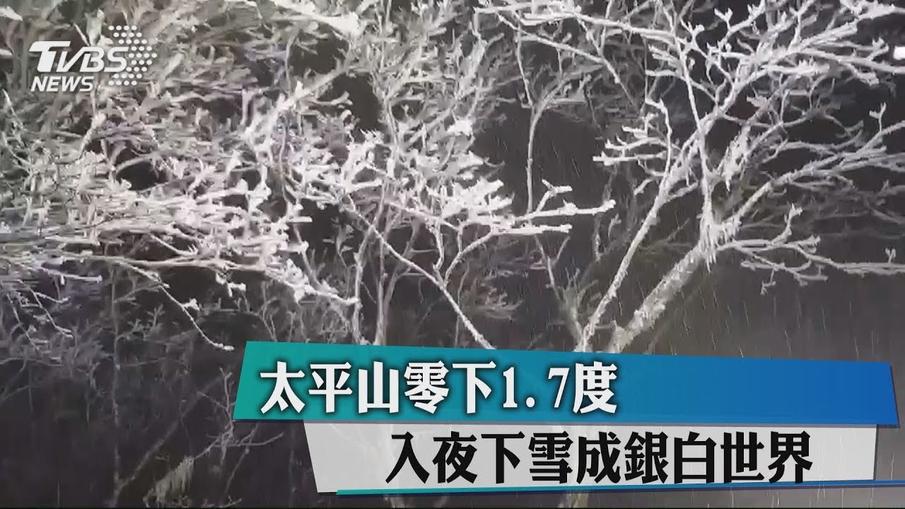 快訊／太平山零下1.7度　入夜下雪成銀白世界