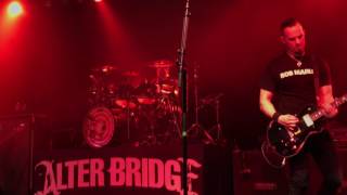 &quot;Island of Fools&quot; by Alter Bridge