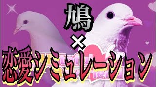鳩×学園×恋愛 [はーとふる彼氏]