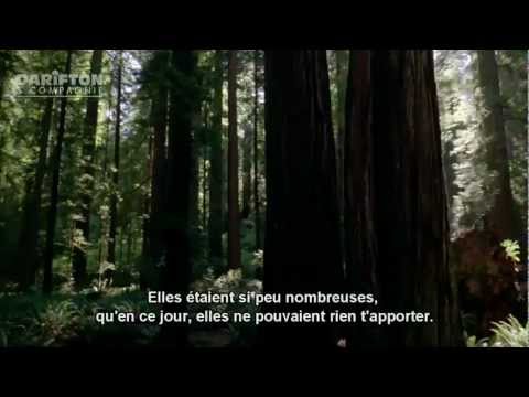 L'histoire de Malik ibn Dinar - Navaid Aziz  ( Histoire d'un repentir )