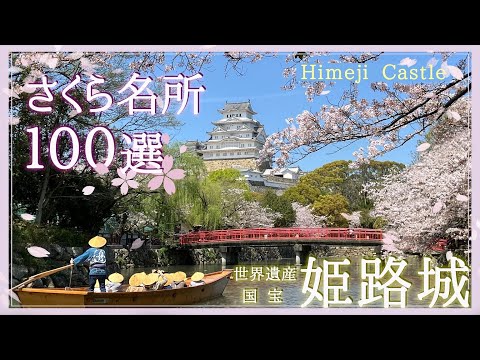 【日本の風景】🌸さくら名所１００選🌸　🏯世界遺産・国宝　姫路城🏯JAPAN SAKURA WORLD HERITAGE HIMEJI CASTLE