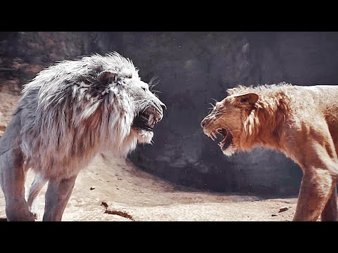 Mufasa Vs Kiros - Final Fight Scene | MUFASA: THE LION KING (2024) Movie CLIP HD