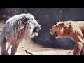 Mufasa Vs Kiros Final Fight Scene MUFASA THE LION KING 2024 Movie CLIP HD