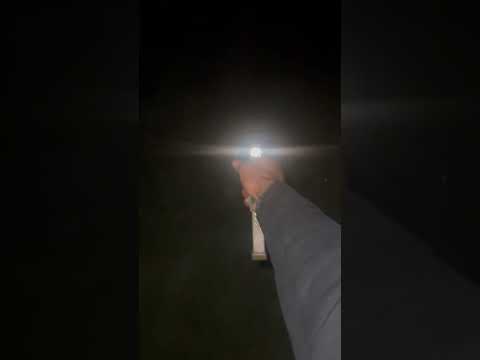 Glock 19x with a switch #shorts #switch #guns