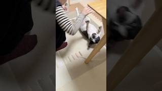早朝からフレブルとママの負けられない戦いが勃発？！