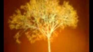 Digital Verde with N.A.S.A. &quot;Way Down&quot; (feat. RZA, Barbie Hatch, &amp; John Frusciante)