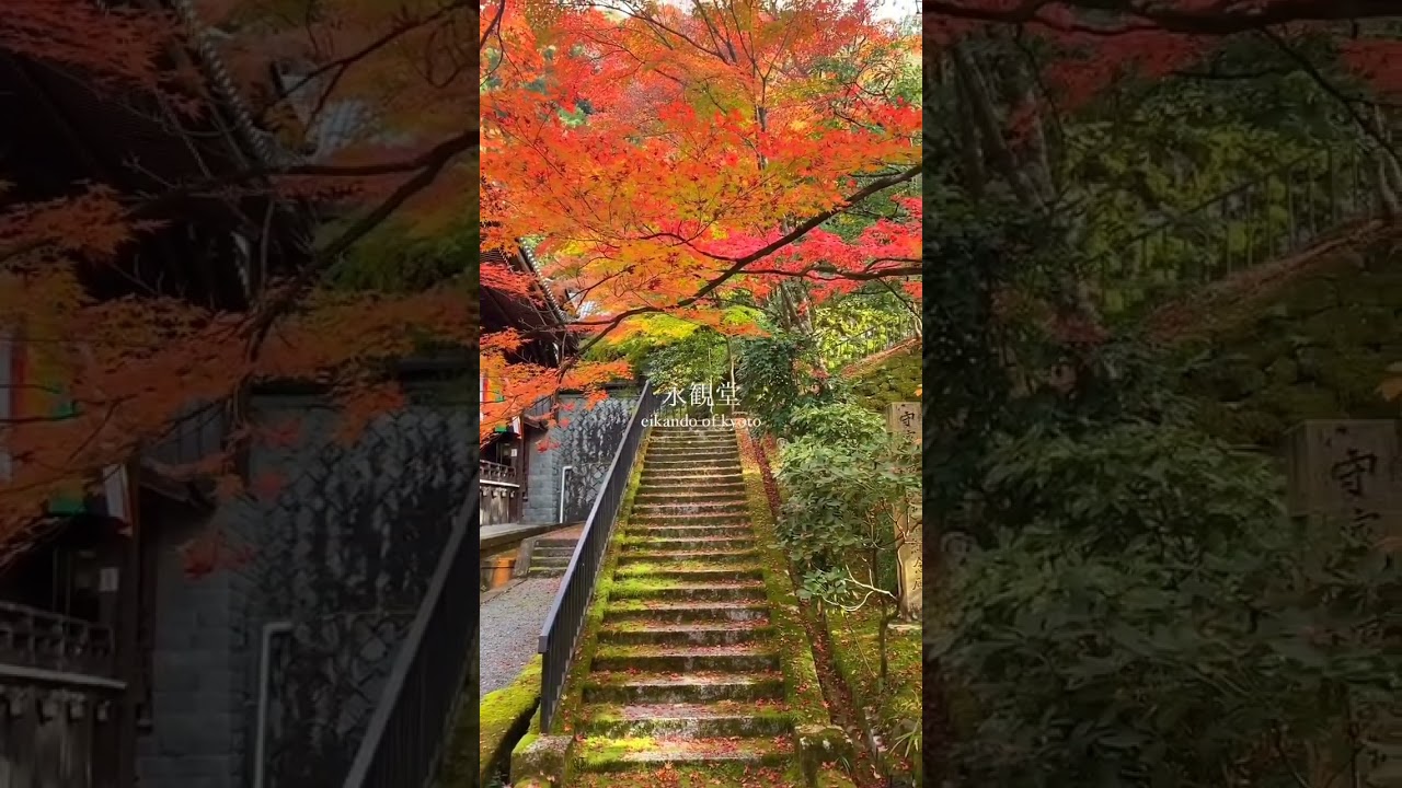 YouTube Short thumbnail