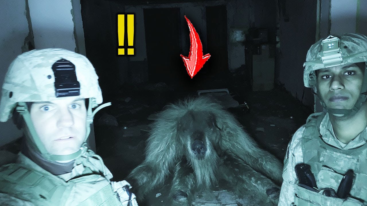 Marines Spill the Beans on What's Underground At Camp Pendleton