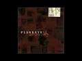 PLANKEYE - PLACEMENT