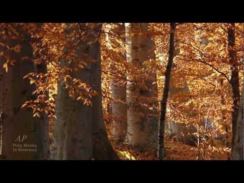 Relaxation Piano Music - PHILIP WESLEY -  In Reverence  - Hope Endures