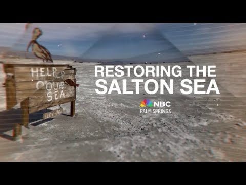 Restoring the Salton Sea: Energy, Developments and Solutions