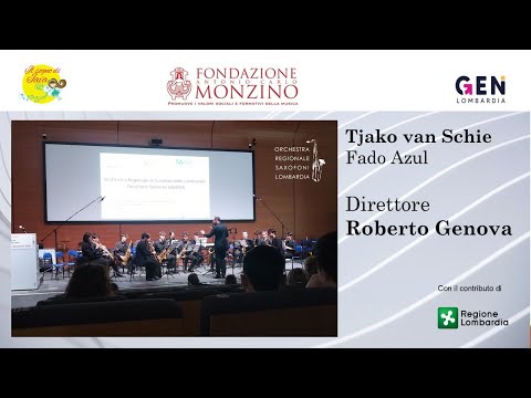 Tjako van Schie: Fado Azul