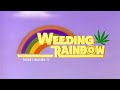 Weed Ing Rainbow Theme Song