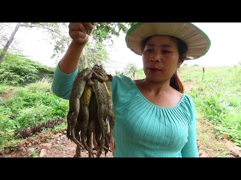 Frog recipe: Lifestyle and cooking frog is taste delicious for snacks - Cooking skills Ep 49