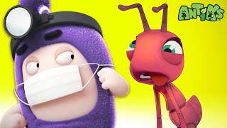 Download lagu Sich krank fühlen 🤒 Antiks & Oddbods - Lustige Cartoons für Kinder | Moonbug Kids Deutsch mp3 Download lagu Sich krank fühlen 🤒 Antiks & Oddbods - Lustige Cartoons für Kinder | Moonbug Kids Deutsch mp3