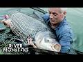 Catching MASSIVE Plant Eating Fish River Monsters
