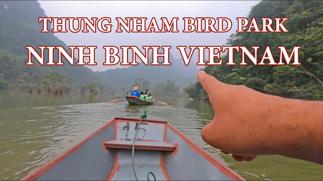 Witness the mesmerizing bird flights at Thung Nham Bird Park, a haven for wildlife enthusiasts.