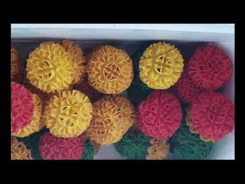 download lagu mp3 mp4 Lotus Flower Chips, download lagu Lotus Flower Chips gratis, unduh video klip Lotus Flower Chips