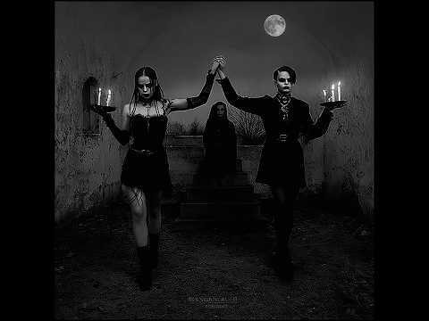 My Kind (visualizer)