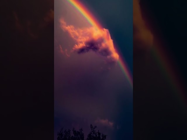 Vídeo relacionado con Harry Bear Pijamas para Niñas Lema Positivo del Arco Iris Multicolor 11-12 años