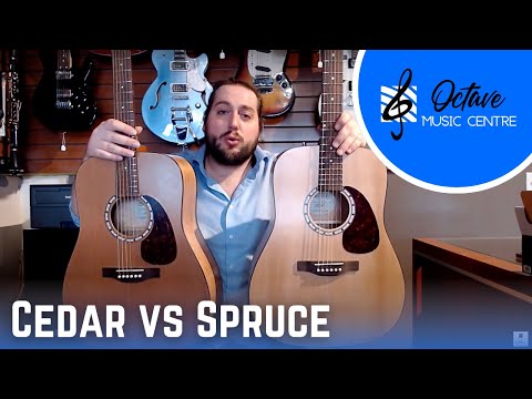 Cedar vs Spruce: THE TOPWOOD SHOWDOWN