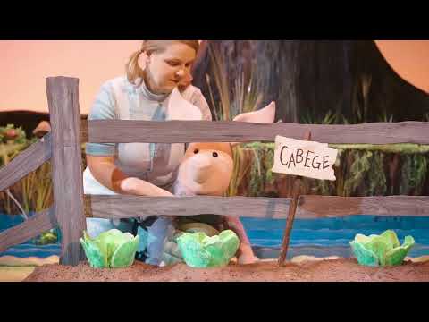 Winnie The Poo...TP AU TV Broadcast B Roll Video 60