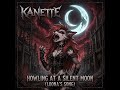 Howling At A Silent Moon Kanette Gothic Industrial Metal Kanette Loona Helluvaboss