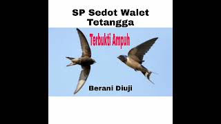 Download lagu SP SEDOT WALET TETANGGA TERAMPUH 2021 mp3 Download lagu SP SEDOT WALET TETANGGA TERAMPUH 2021 mp3