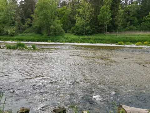 WM Endspiel 1954 1. Halbzeit Herbert Zimmermann Robert Lembke