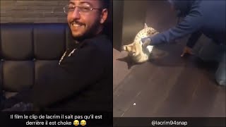 Mohamed Henni CHEZ Lacrim ! IL A PEUR DE SON TIGRE !