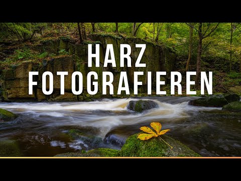 Herbst im Harz! Meine liebsten Fotospots im Harz