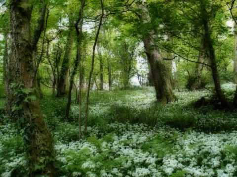 Llewelyn: Kingdom of the Fairy (Instrumental)