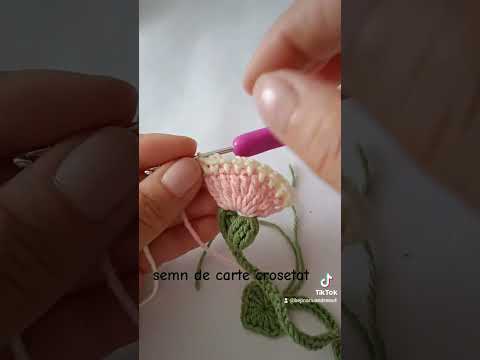 Semn de carte crosetat