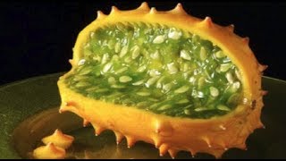 HEALTHIEST Foods You Should Eat !