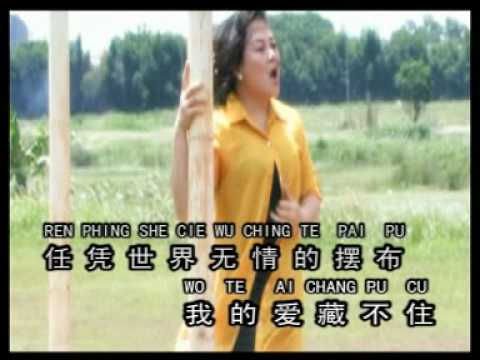 天意(tian yi)王玉蓮(wang ie ling)