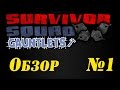 Survivor Squad: Gauntlets - обзор и прохождение №1 