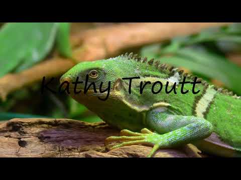 How to Pronounce Kathy Troutt?