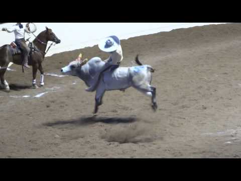 La grandeza de un jinete de toro protagonizada por Asunción Saenz de 3 Potrilllos